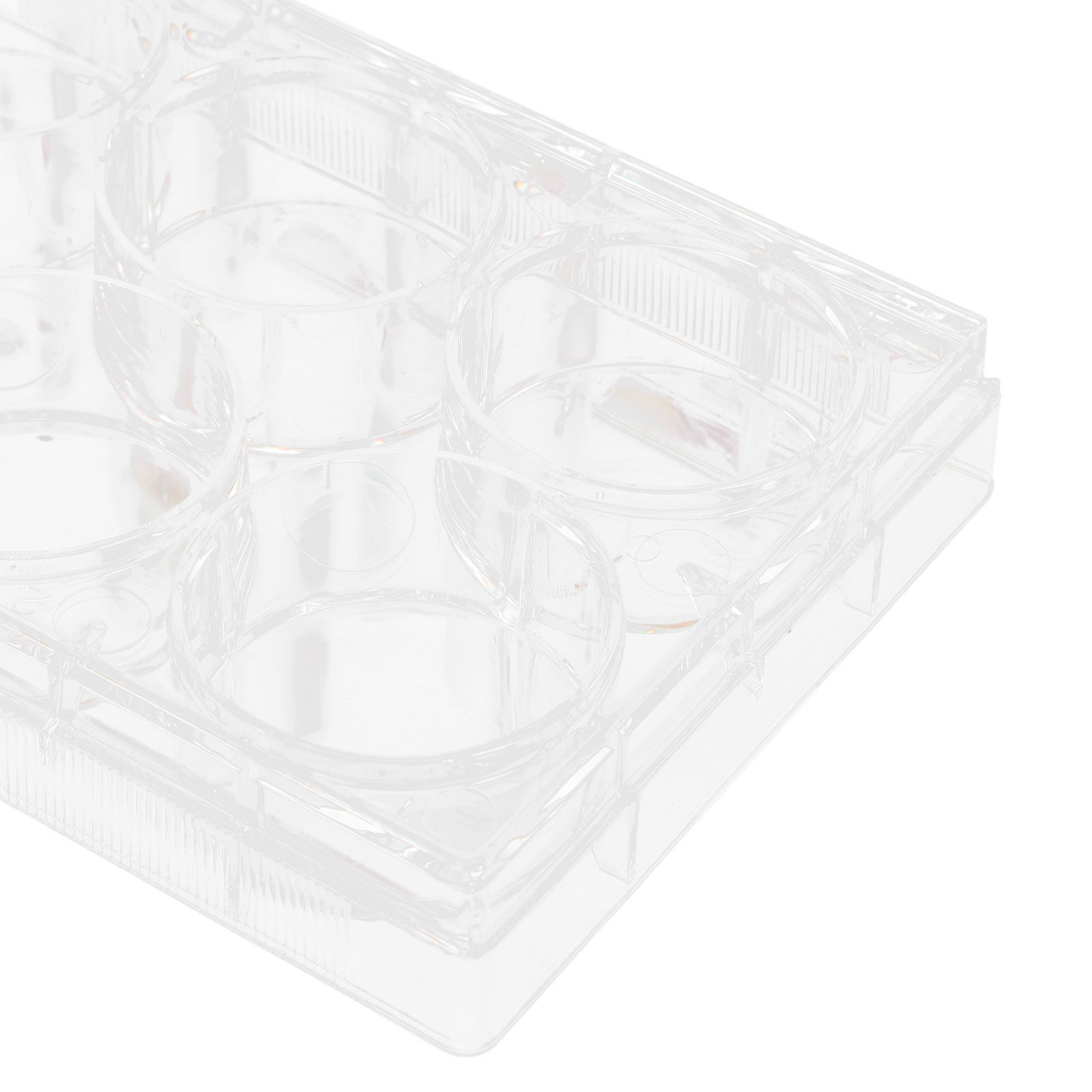 Tissue Culture Plate 6 Wells S - Lab Equipment ulasan dan harga